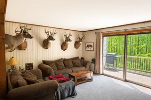 388 Quadna Mountain Rd, Hill City, MN 55748 - Photo 5