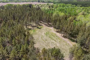 18619 340th St, Menahga, MN 56464 - Photo 49