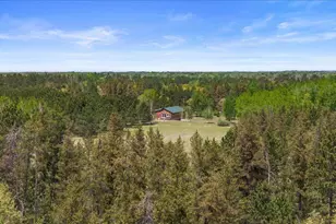 18619 340th St, Menahga, MN 56464 - Photo 47
