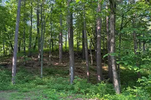 4417 Robin Ln NW, Hackensack, MN 56452 - Photo 31
