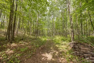 3677 County 54 NE, Longville, MN 56655 - Photo 49