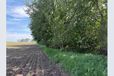 Tbd 31st Avenue NW, Oronoco, MN 55960 - Photo 27