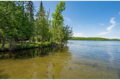 51301 Pine Point Road, Bigfork, MN 56628 - Photo 45