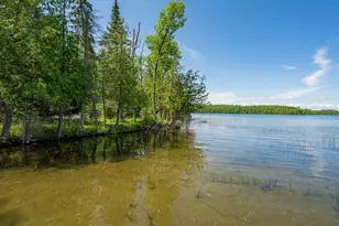 51301 Pine Point Rd, Bigfork, MN 56628 - Photo 45