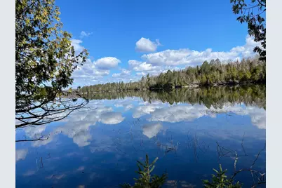 51301 Pine Point Road, Bigfork, MN 56628 - Photo 7