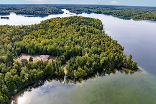 51301 Pine Point Rd, Bigfork, MN 56628 - Photo 49