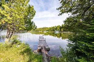51301 Pine Point Rd, Bigfork, MN 56628 - Photo 53