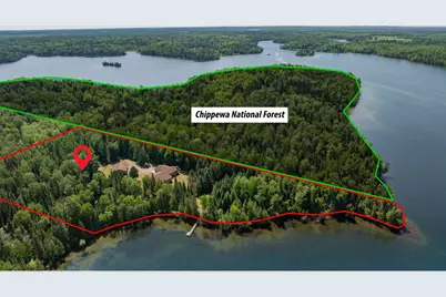 51301 Pine Point Road, Bigfork, MN 56628 - Photo 51