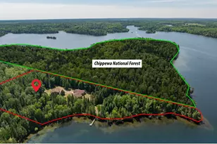51301 Pine Point Rd, Bigfork, MN 56628 - Photo 51