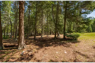 51301 Pine Point Road, Bigfork, MN 56628 - Photo 9