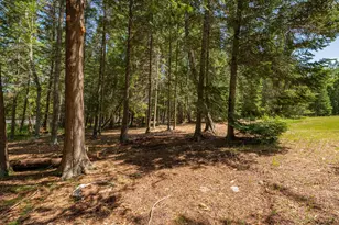 51301 Pine Point Rd, Bigfork, MN 56628 - Photo 9