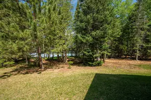 51301 Pine Point Rd, Bigfork, MN 56628 - Photo 61