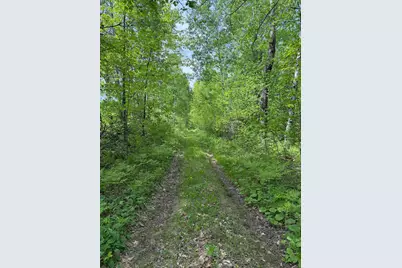 Tbd Range Line Rd, Kerrick, MN 55756 - Photo 1