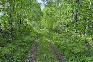 Tbd Range Line Rd, Kerrick, MN 55756 - Photo 1