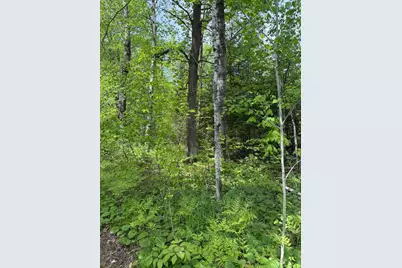 Tbd Range Line Rd, Kerrick, MN 55756 - Photo 5