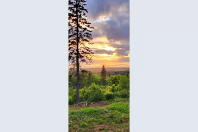 5241 Hut Two Road, Finland, MN 55603 - Photo 15