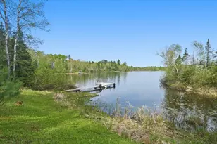 1537 Little Stone Lake Rd, Brimson, MN 55602 - Photo 7