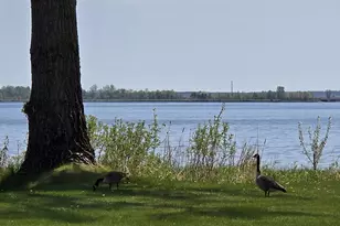 5882 Lakeshore Ln NW, Cass Lake, MN 56633 - Photo 29