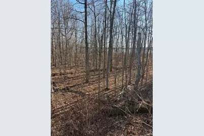 226th 226th, McGregor, MN 56431 - Photo 11