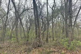 Lot 0 Catfish Dr, Trempealeau, WI 54661 - Photo 1