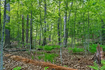 Tbd Cuyuna Greens Drive, Deerwood, MN 56444 - Photo 9