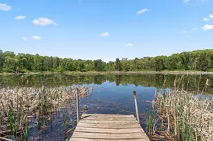 1388 136th St SW, Pillager, MN 56473 - Photo 21