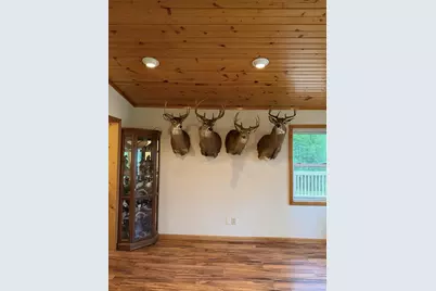 57625 226th Street, Litchfield, MN 55355 - Photo 15