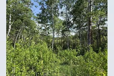 Tbd County 4, Park Rapids, MN 56470 - Photo 9