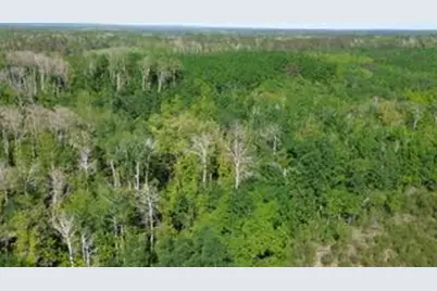 Tbd County 4, Park Rapids, MN 56470 - Photo 3