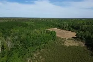 Tbd County 4, Park Rapids, MN 56470 - Photo 1
