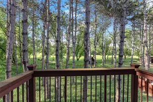 10940 105th St N, Grant, MN 55082 - Photo 59