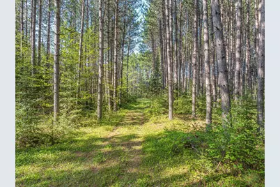 2685 Elliots Lake Road, Eveleth, MN 55734 - Photo 9