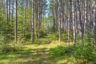 2685 Elliots Lake Rd, Eveleth, MN 55734 - Photo 9