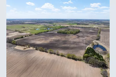Forster Rd Forster Road NE, Carlos, MN 56319 - Photo 7