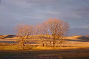 19800 Stephan Dr, Starbuck, MN 56381 - Photo 61
