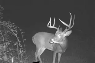 S1689 Co Rd XX, Alma, WI 54610 - Photo 39