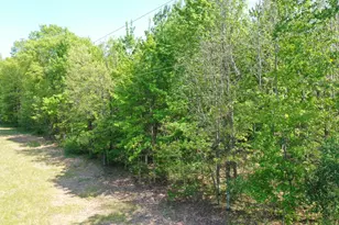 Xxx Evergreen Ave, Saint Croix Falls, WI 54024 - Photo 1