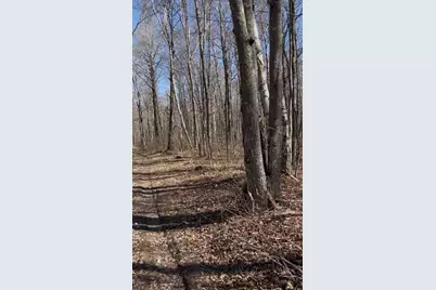 1 Tbd, Hinckley Township, MN 55037 - Photo 1
