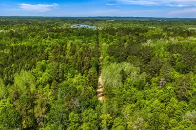 56786 194th Street, Park Rapids, MN 56470 - Photo 43
