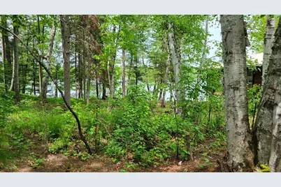 550 Shady Shores Trail NW, Pine River, MN 56474 - Photo 3