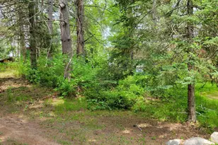 550 Shady Shores Trail NW, Pine River, MN 56474 - Photo 11