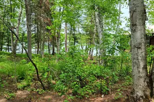 550 Shady Shores Trail NW, Pine River, MN 56474 - Photo 13