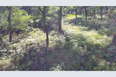 30057 Crystal Lake Drive, Webster, WI 54893 - Photo 13