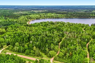 17079 Paw Print Dr, Laporte, MN 56461 - Photo 49