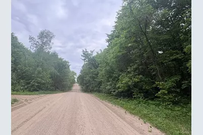 Tbd 380th Street, Dent, MN 56528 - Photo 33