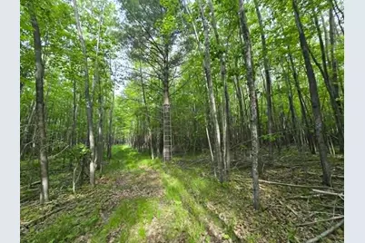 12085 State 371 NW, Laporte, MN 56461 - Photo 23