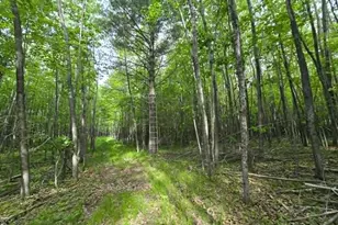 12085 State 371 NW, Laporte, MN 56461 - Photo 23
