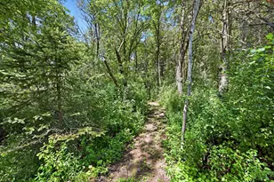 2477 168th Ln NW, Andover, MN 55304 - Photo 31