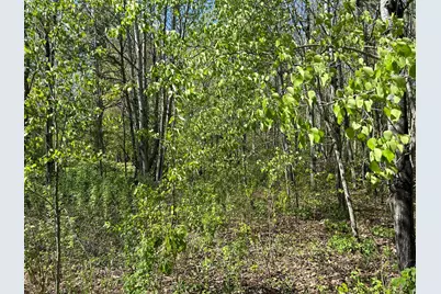 187Xx Harbor Drive, Garrison, MN 56450 - Photo 19