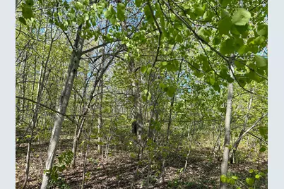 187Xx Harbor Drive, Garrison, MN 56450 - Photo 21